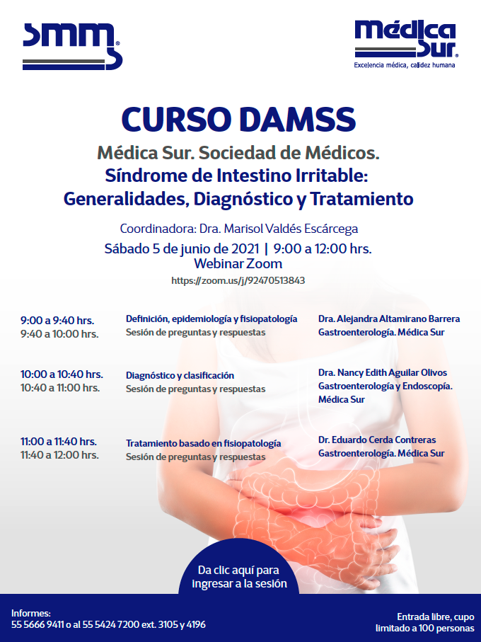 Curso DAMSS